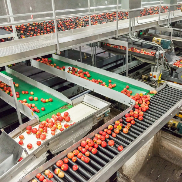 Food Industry