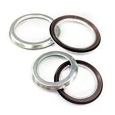 gamma lip seal